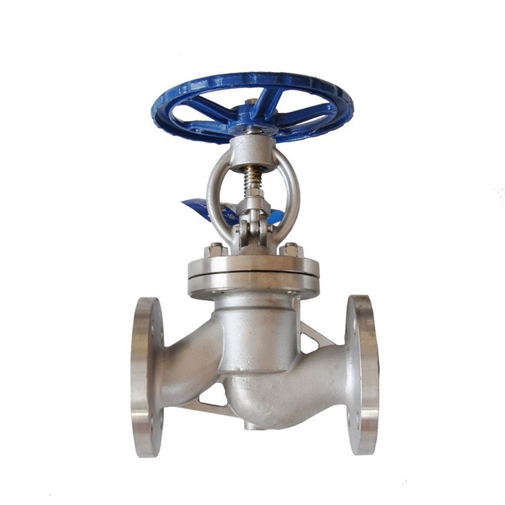 Stainless steel flanged globe valve2