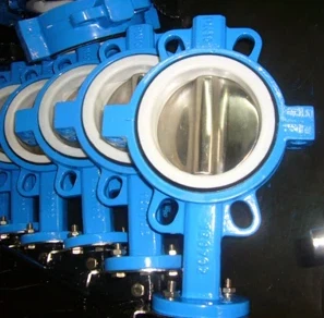 Split Butterfly Valve, SS316 Disc, PN16, Lever Op
