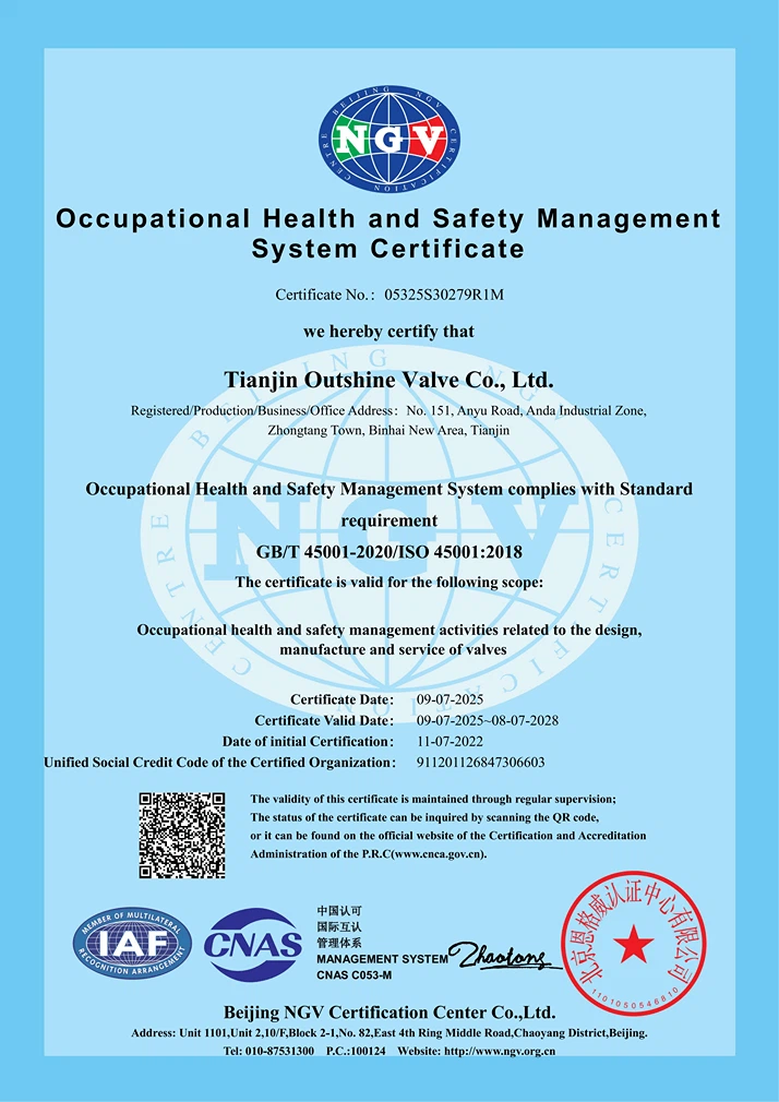 Occupational Health and Safety Management System Certificate Occupational Health and Safety Management System Certificate